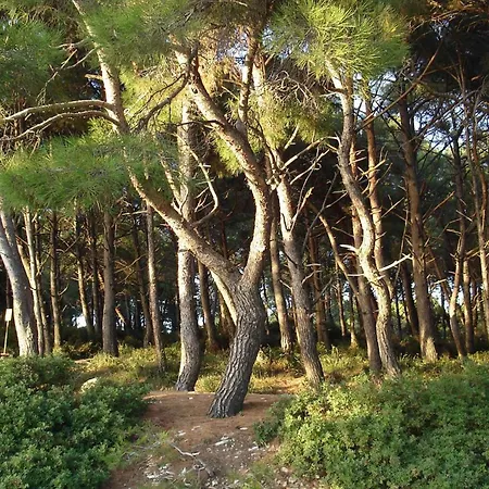 In - Istrien 11068 Appartement Pula