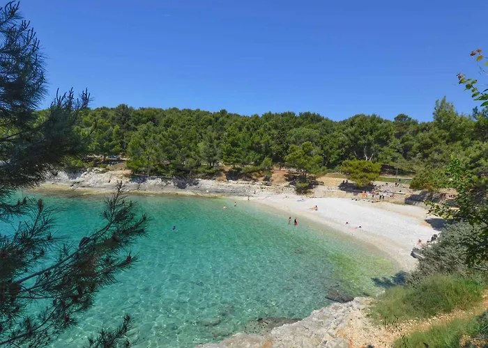 In - Istrien 11068 Lejlighed