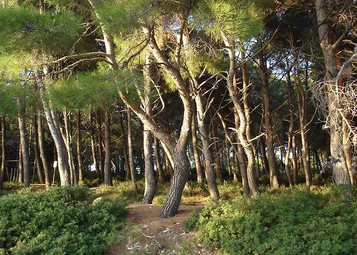 In - Istrien 11068 Lejlighed Pula